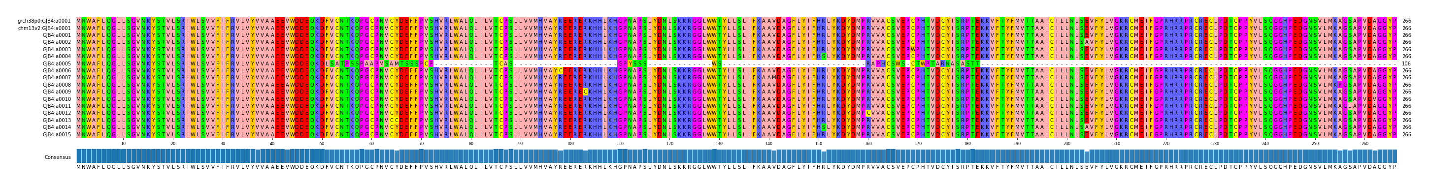 Multiple Alignments (by translate haplotype frequency)