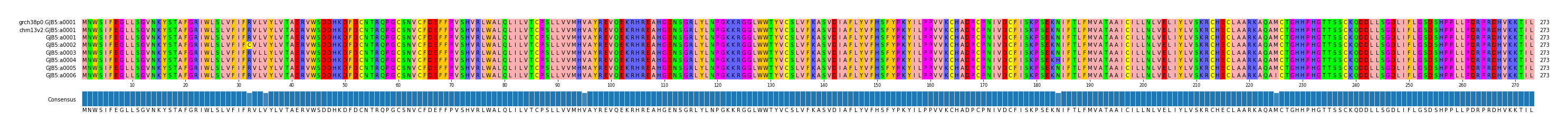 Multiple Alignments (by translate haplotype frequency)