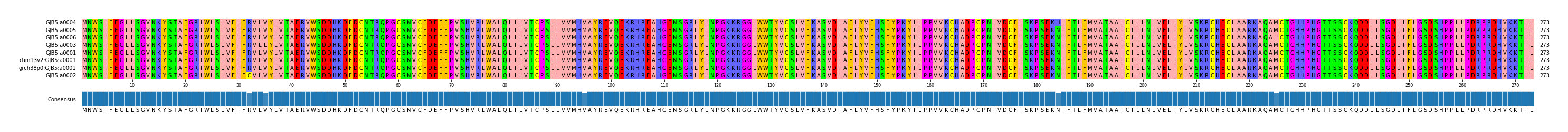 Multiple Alignments (by translate haplotype similarity)