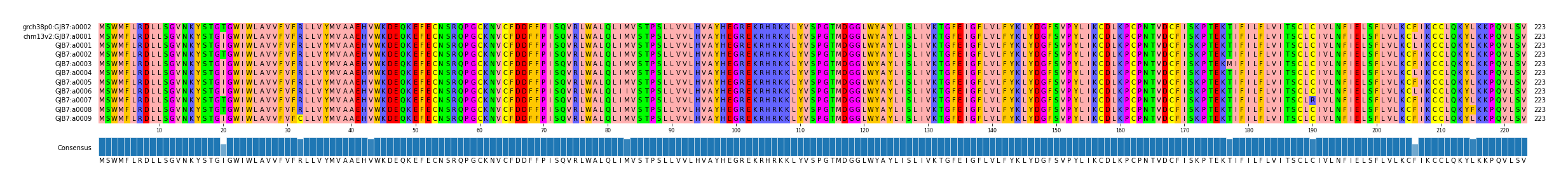 Multiple Alignments (by translate haplotype frequency)