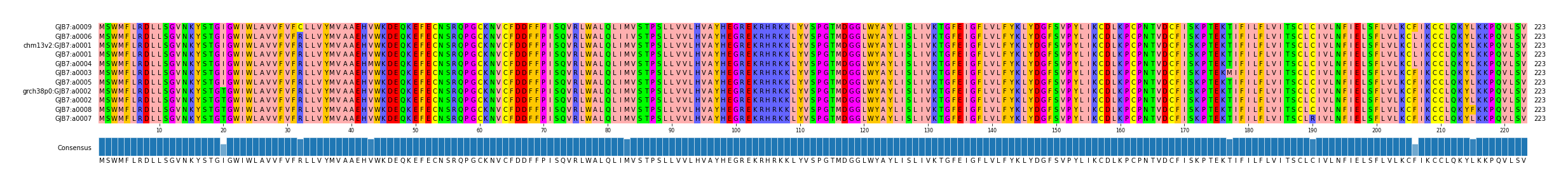 Multiple Alignments (by translate haplotype similarity)