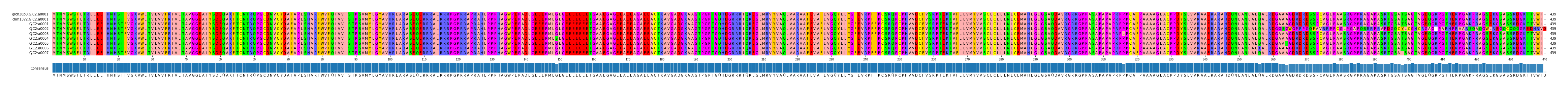 Multiple Alignments (by translate haplotype frequency)