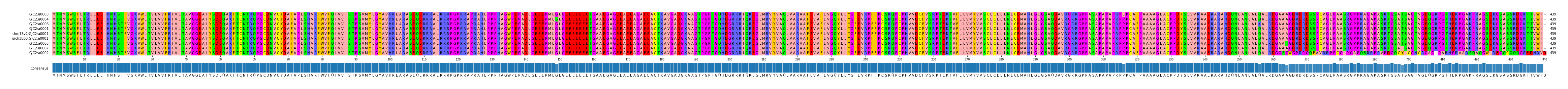 Multiple Alignments (by translate haplotype similarity)