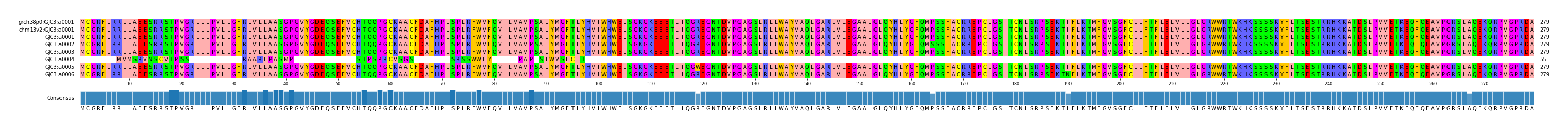 Multiple Alignments (by translate haplotype frequency)