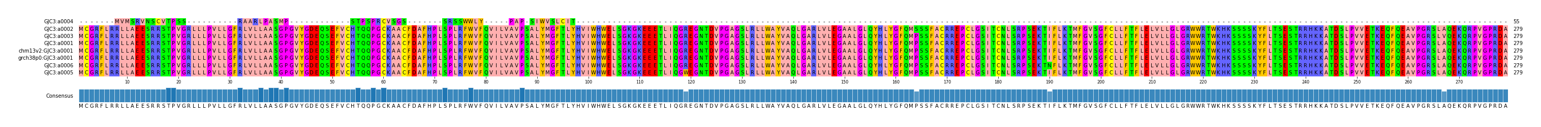 Multiple Alignments (by translate haplotype similarity)