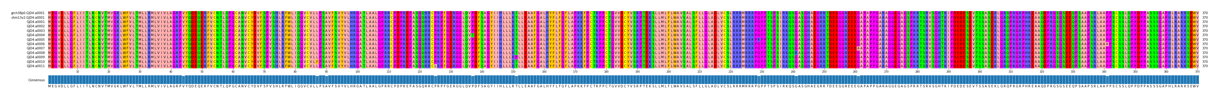 Multiple Alignments (by translate haplotype frequency)