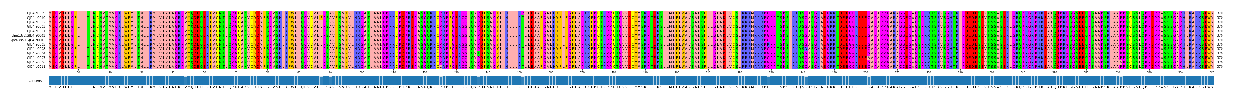 Multiple Alignments (by translate haplotype similarity)