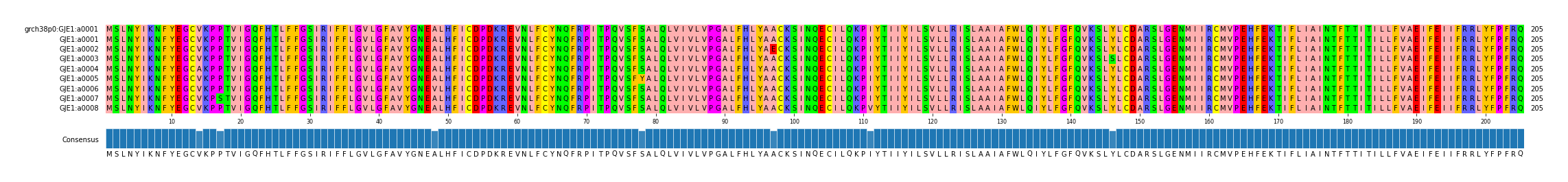 Multiple Alignments (by translate haplotype frequency)