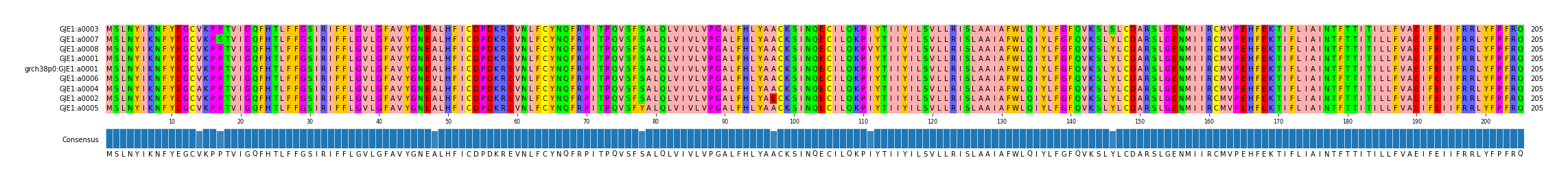 Multiple Alignments (by translate haplotype similarity)