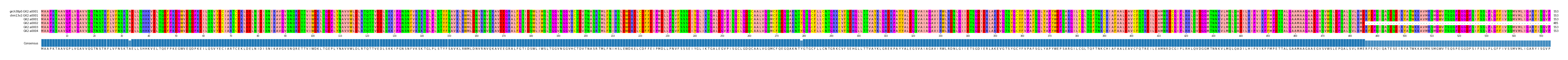 Multiple Alignments (by translate haplotype frequency)