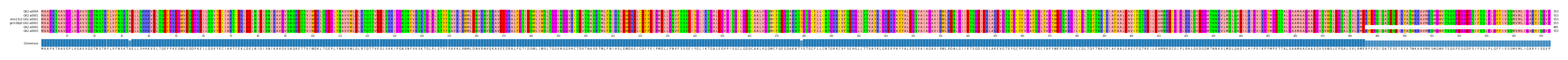 Multiple Alignments (by translate haplotype similarity)