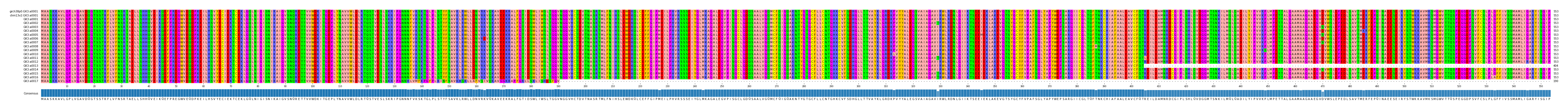 Multiple Alignments (by translate haplotype frequency)