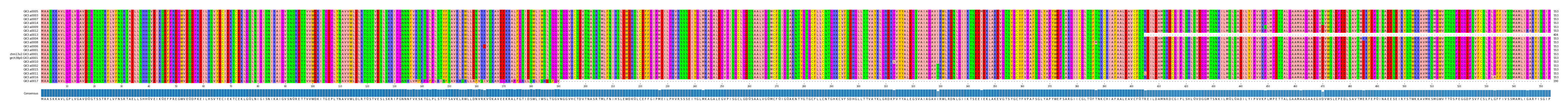Multiple Alignments (by translate haplotype similarity)
