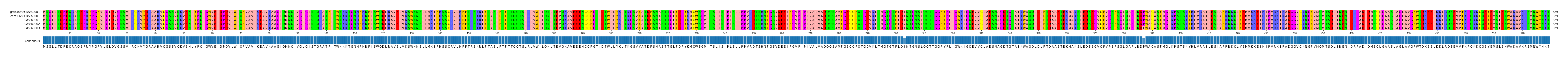 Multiple Alignments (by translate haplotype frequency)