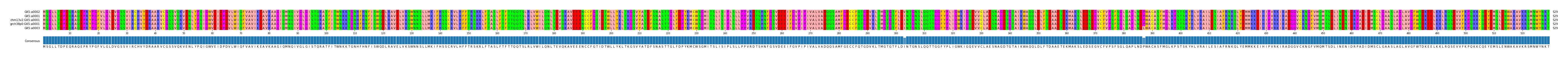 Multiple Alignments (by translate haplotype similarity)