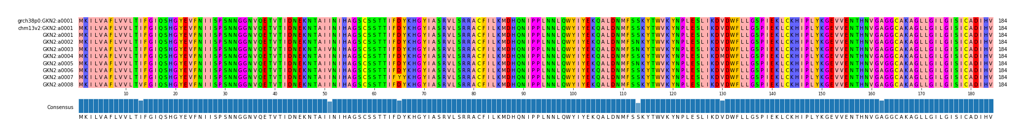 Multiple Alignments (by translate haplotype frequency)