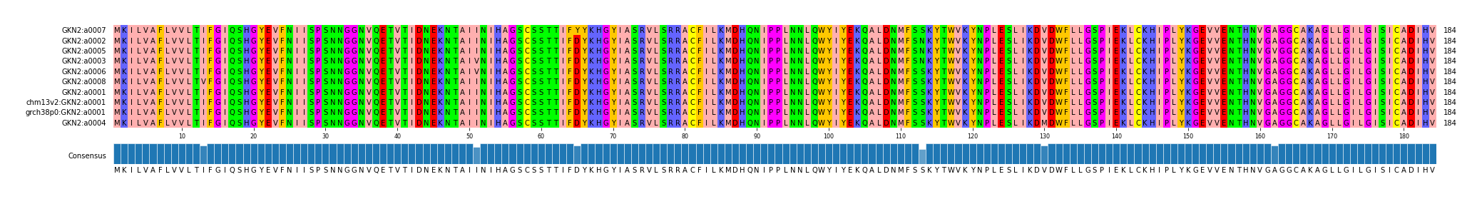 Multiple Alignments (by translate haplotype similarity)