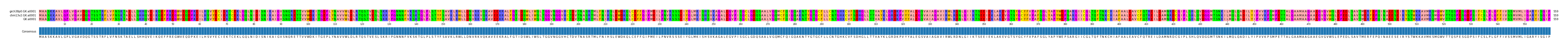 Multiple Alignments (by translate haplotype similarity)