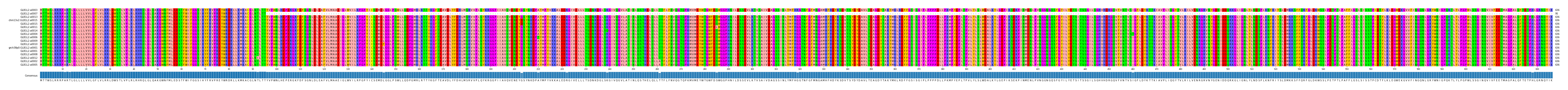 Multiple Alignments (by translate haplotype similarity)