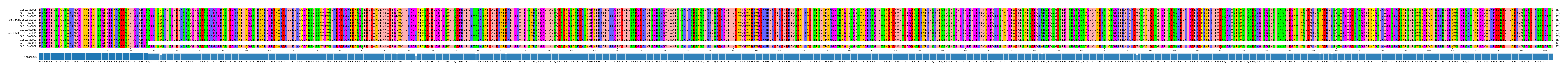 Multiple Alignments (by translate haplotype similarity)
