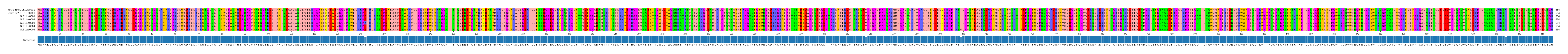 Multiple Alignments (by translate haplotype frequency)