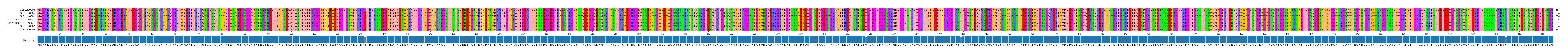 Multiple Alignments (by translate haplotype similarity)