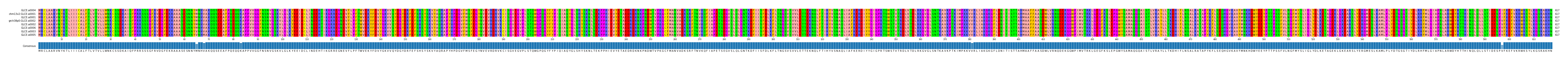 Multiple Alignments (by translate haplotype similarity)