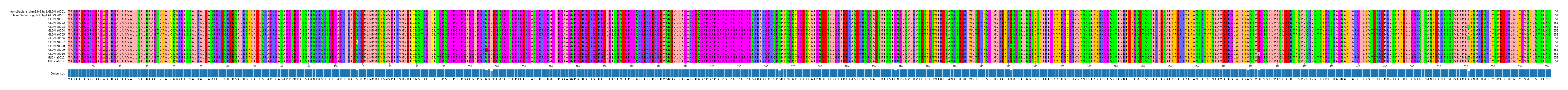 Multiple Alignments (by translate haplotype frequency)