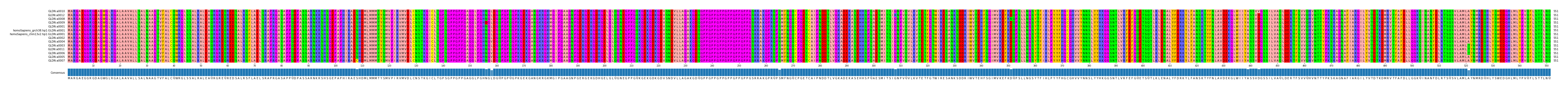 Multiple Alignments (by translate haplotype similarity)