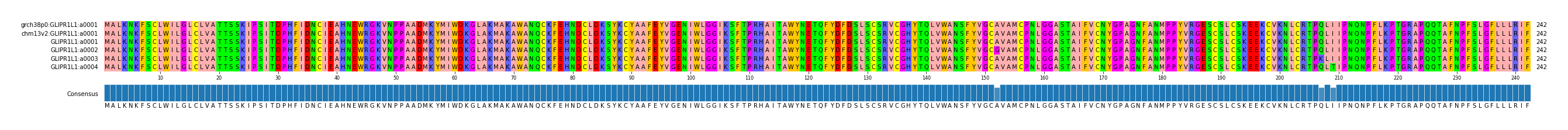Multiple Alignments (by translate haplotype frequency)