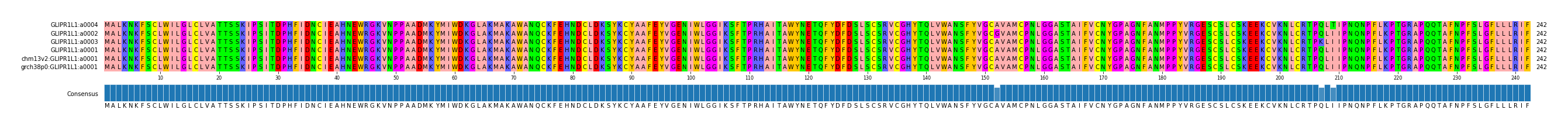 Multiple Alignments (by translate haplotype similarity)