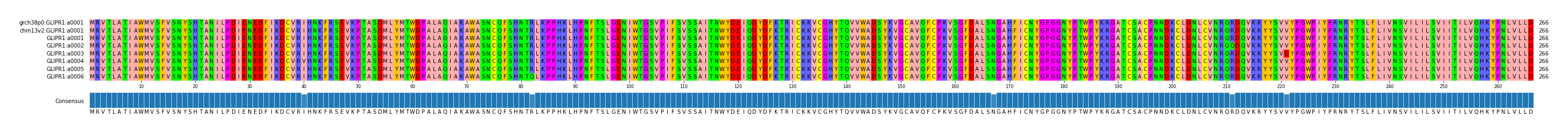 Multiple Alignments (by translate haplotype frequency)