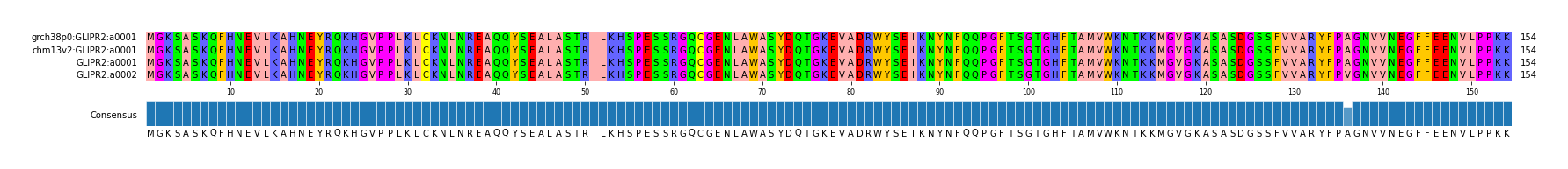 Multiple Alignments (by translate haplotype similarity)