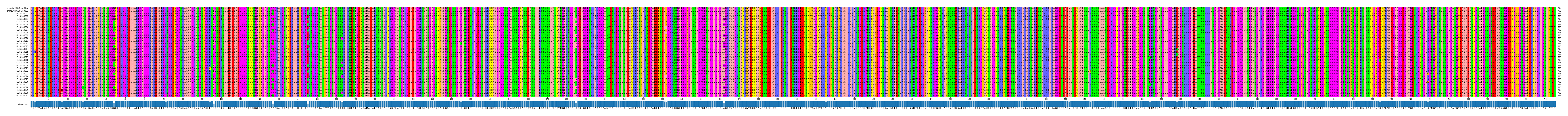 Multiple Alignments (by translate haplotype frequency)