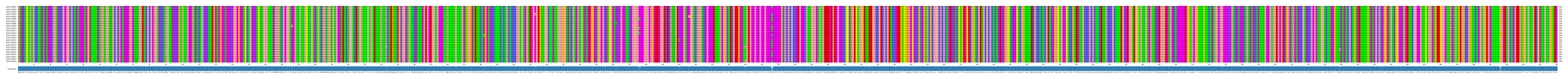 Multiple Alignments (by translate haplotype frequency)