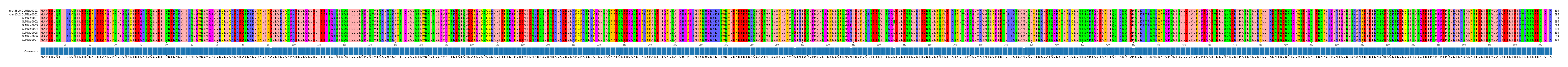 Multiple Alignments (by translate haplotype frequency)