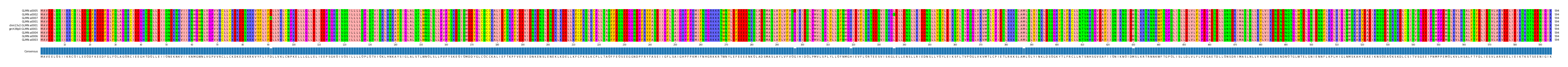 Multiple Alignments (by translate haplotype similarity)