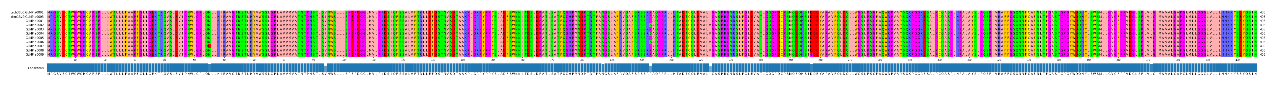Multiple Alignments (by translate haplotype frequency)
