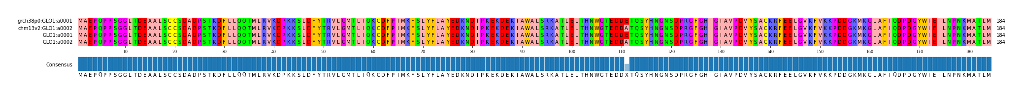 Multiple Alignments (by translate haplotype frequency)