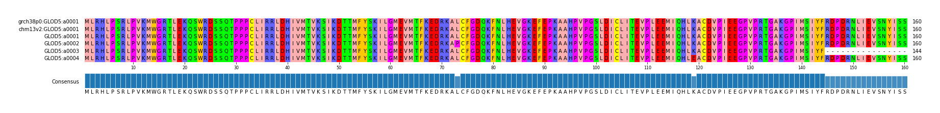 Multiple Alignments (by translate haplotype frequency)