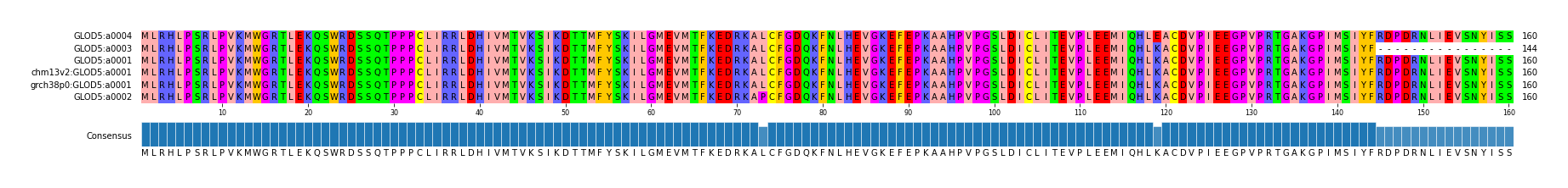 Multiple Alignments (by translate haplotype similarity)