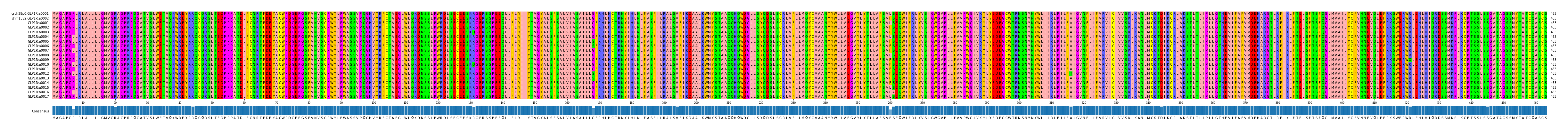 Multiple Alignments (by translate haplotype frequency)