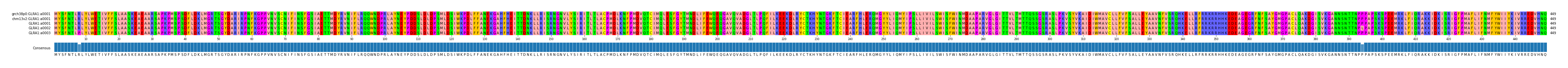 Multiple Alignments (by translate haplotype frequency)