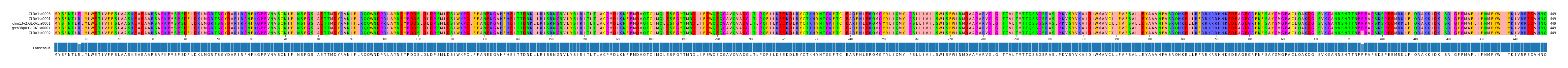 Multiple Alignments (by translate haplotype similarity)