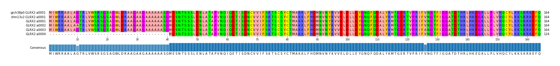 Multiple Alignments (by translate haplotype frequency)