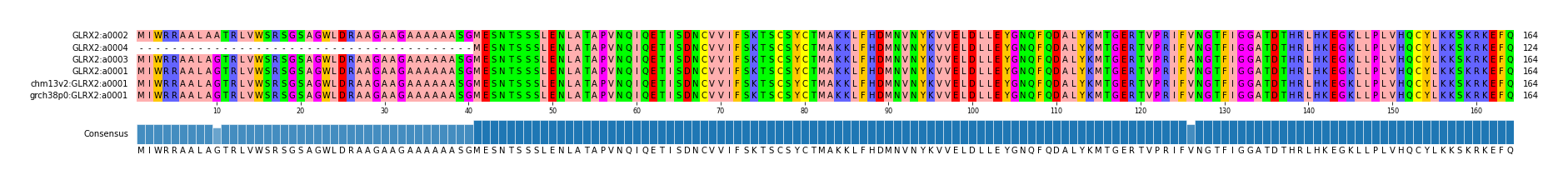 Multiple Alignments (by translate haplotype similarity)