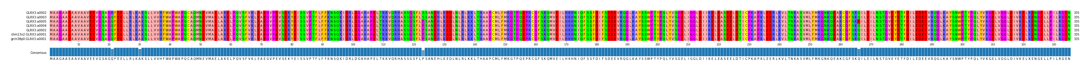 Multiple Alignments (by translate haplotype similarity)