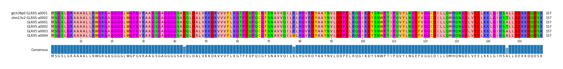 Multiple Alignments (by translate haplotype frequency)