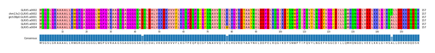 Multiple Alignments (by translate haplotype similarity)