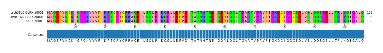 Multiple Alignments (by translate haplotype similarity)